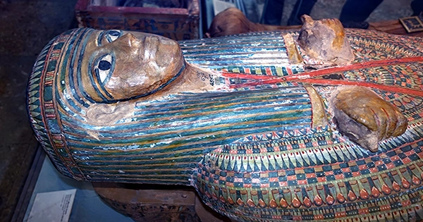Unnamed Mummies and Concealed Hieroglyphs Inspire New Optimism