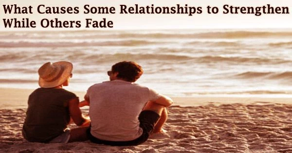 What Causes Some Relationships to Strengthen While Others Fade