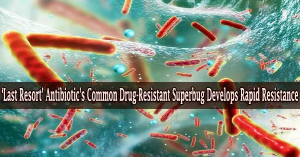 ‘Last Resort’ Antibiotic’s Common Drug-Resistant Superbug Develops Rapid Resistance