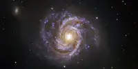 A Protogalaxy in the Milky Way may be our Galaxy’s Original Nucleus