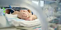 A Method for Measuring Brain Blood Flow at Bedside in Premature Babies