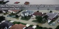 After Hurricane Harvey, Pollution Levels in Some Areas Exceeded Lifetime Cancer Risk