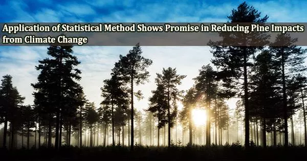 Application of Statistical Method Shows Promise in Reducing Pine Impacts from Climate Change