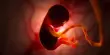 In the Womb, Babies Respond to Taste and Smell