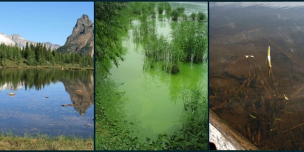 Climate-Change-may-Cause-some-Blue-Lakes-to-turn-Green-or-Brown-1
