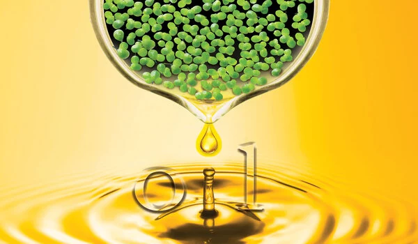 Duckweed-Oil-can-be-Engineered-to-Produce-Biofuels-and-Bioproducts-1