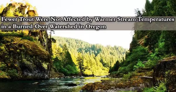 Fewer Trout Were Not Affected by Warmer Stream Temperatures in a Burned-Over Watershed in Oregon