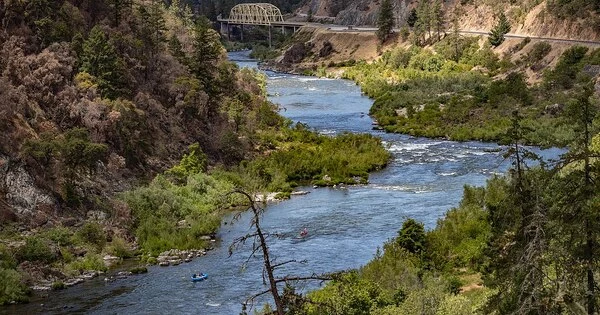 Heat Waves are becoming more Common in American Rivers