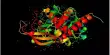 Hepatitis C Virus – Scientists have Mapped key Protein Structures