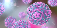 How the Poliovirus Infects Cells from Inside