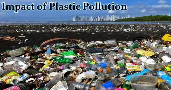 Impact of Plastic Pollution