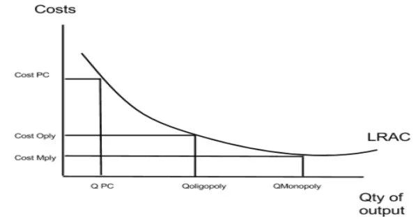 Natural Monopoly Assignment Point