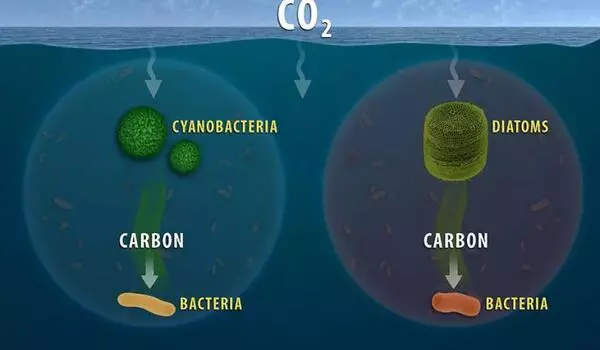New-Information-on-the-Oldest-Carbon-in-the-Ocean-1