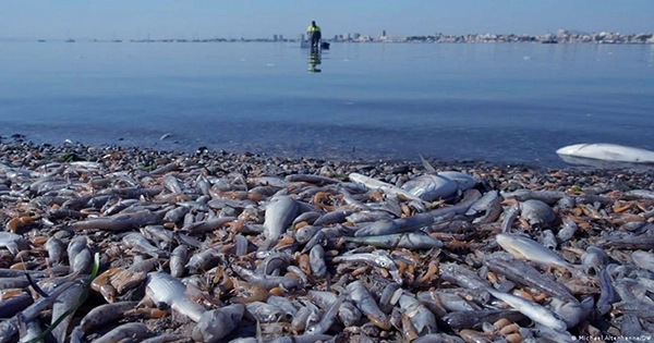 Once Granted Personhood, Spanish Lagoon Can Now Bring Legal Action Against Polluters
