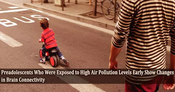 Preadolescents Who Were Exposed to High Air Pollution Levels Early Show Changes in Brain Connectivity