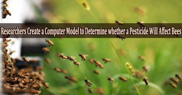 Researchers Create a Computer Model to Determine whether a Pesticide Will Affect Bees
