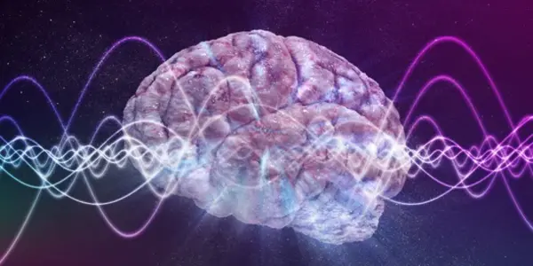 Researchers-Discover-Brain-Waves-linked-to-Social-Behavior-1