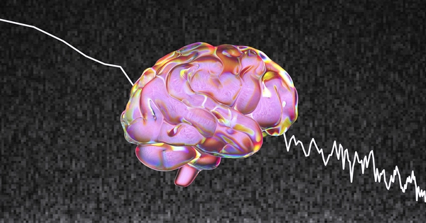Researchers Discover Brain Waves linked to Social Behavior
