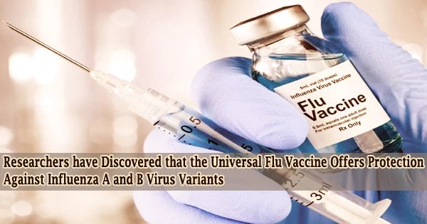 Researchers have Discovered that the Universal Flu Vaccine Offers Protection Against Influenza A and B Virus Variants