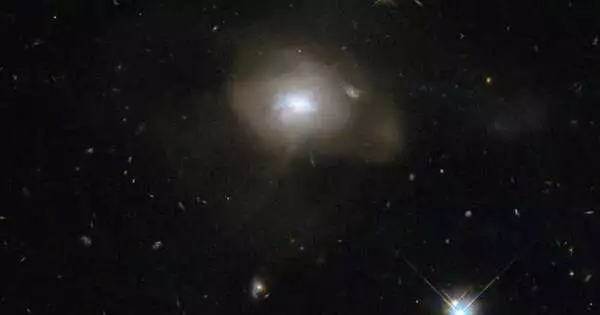 Spin Flips Depict the formation of Galaxies from the Cosmic Web