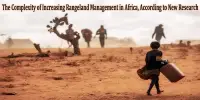 The Complexity of Increasing Rangeland Management in Africa, According to New Research