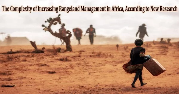 The Complexity of Increasing Rangeland Management in Africa, According to New Research