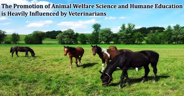 The Promotion of Animal Welfare Science and Humane Education is Heavily Influenced by Veterinarians