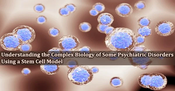 Understanding the Complex Biology of Some Psychiatric Disorders Using a Stem Cell Model
