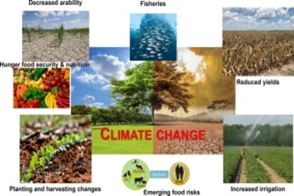 What-is-the-Impact-of-Climate-Change-on-Food-Production-1