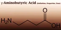 γ-Aminobutyric Acid (Definition, Properties, Uses)