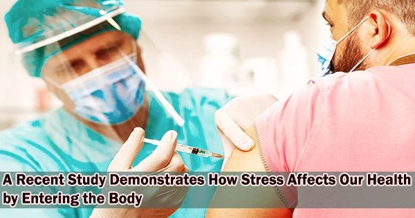 A Recent Study Demonstrates How Stress Affects Our Health by Entering the Body