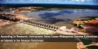 According to Research, Hydropower Dams Cause Widespread Species Extinctions on Islands in the Amazon Rainforest
