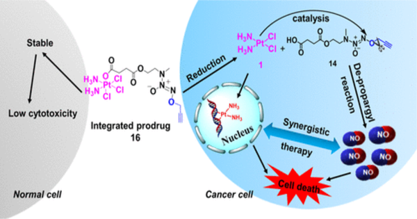 Bioorthogonal Nitrite Ion insertion into Cells for Cancer Treatment