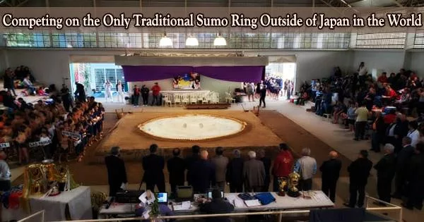 Competing on the Only Traditional Sumo Ring Outside of Japan in the World