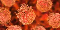 Creating Treatments for Drug-resistant Prostate Cancer