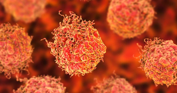 Creating Treatments for Drug-resistant Prostate Cancer