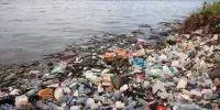 Dhaka River Ecosystems are being Threatened by Microplastics