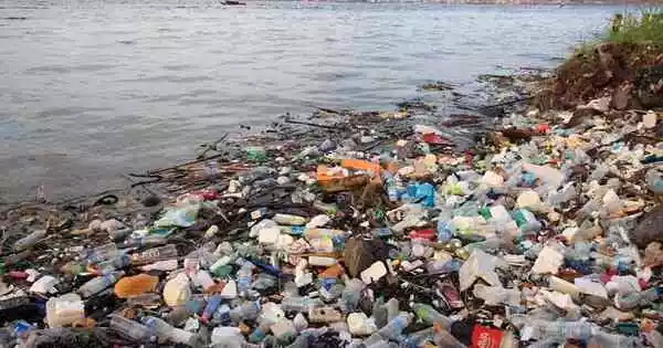 Dhaka River Ecosystems are being Threatened by Microplastics
