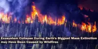 Ecosystem Collapse During Earth’s Biggest Mass Extinction may Have Been Caused by Wildfires