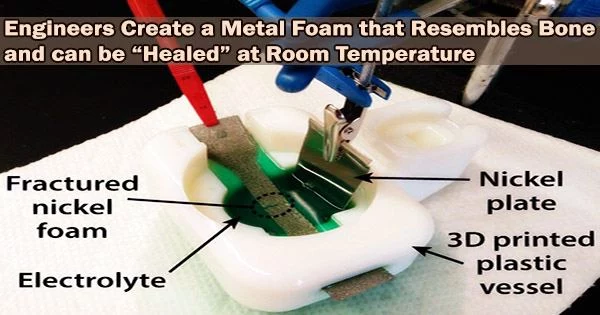 Engineers Create a Metal Foam that Resembles Bone and can be “Healed” at Room Temperature