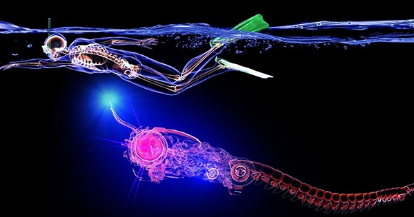 Faster Swimming Soft Robot Than Previous Models Is Energy-Efficient