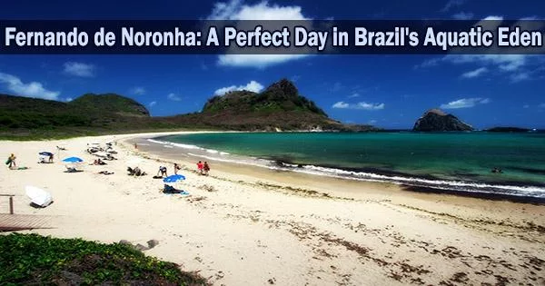Fernando de Noronha: A Perfect Day in Brazil’s Aquatic Eden