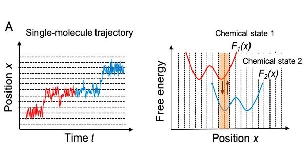 Fig.-1.-A-Trajectory-of-single-molecule-motion-and-corresponding-chemical-state-dependent-free-energy-profiles