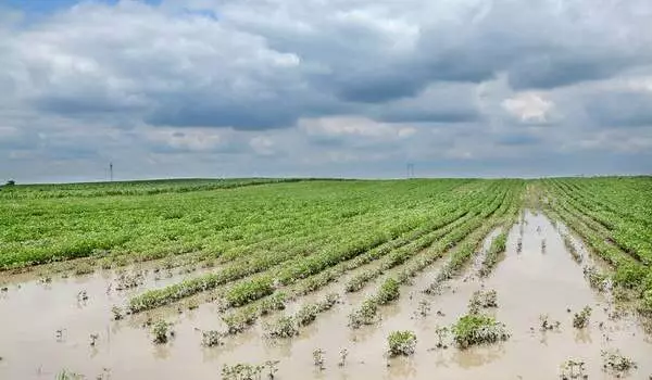 Flooding-has-a-Serious-impact-on-Food-Security-1