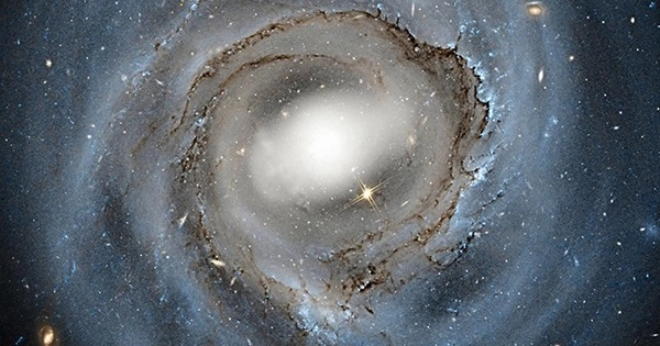 Galaxy Winds are propelled by Cosmic Rays