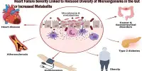 Heart Failure Severity Linked to Reduced Diversity of Microorganisms in the Gut or Increased Metabolite