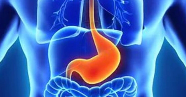 Improved Understanding of how Intestinal Diseases Developed