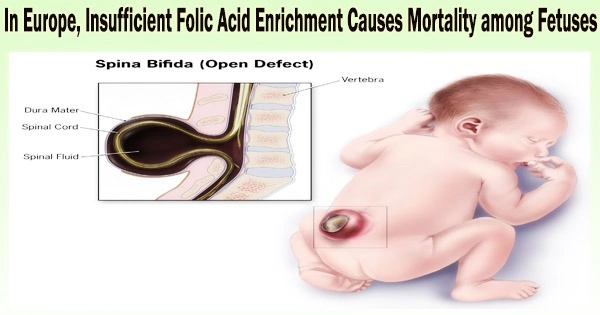 In Europe, Insufficient Folic Acid Enrichment Causes Mortality among Fetuses