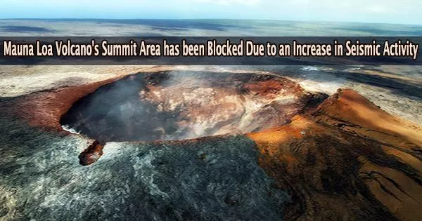 Mauna Loa Volcano’s Summit Area has been Blocked Due to an Increase in Seismic Activity