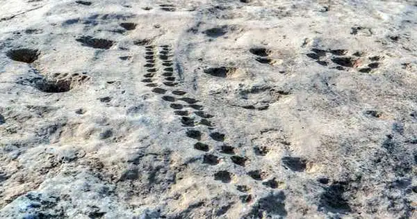 Most-of-the-carvings-are-enigmatic-cup-marks-arranged-in-various-patterns-including-rows-and-rosettes.